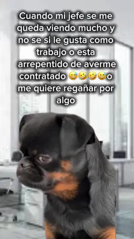 Cuando mi jefe se me queda viendo mucho y no se si le gusta como trabajo o esta arrepentido de averme contratado 😅🤣🤣😅 o me quiere regañar por algo. #funnyvideos #funny #foryoupag #foryou #paratii