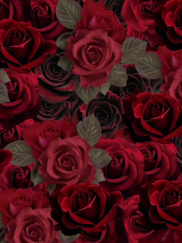 казачки  @greyrock @madk1d.music  #soundcloud  #aftereffects #edit #montage #motiondesign