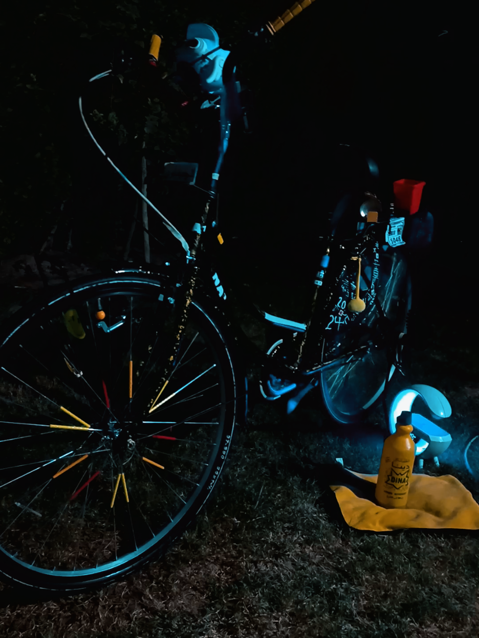 #حلال_الچبيناوي  #الياباني #🍋 #بايسكلات_لاتعرف_القانون 