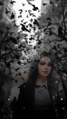 #رانسي🖇🖤 #😂😂😂 #اخي  #مجرد________ذووووووق🎶🎵💞 