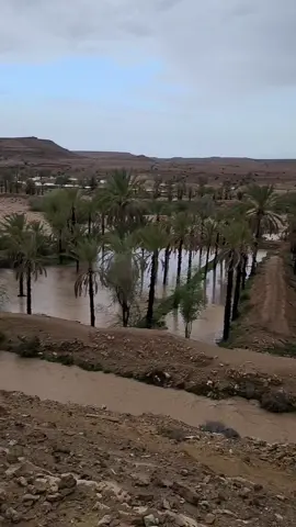 على صوت المطر داني بري حالي #الديره #امطار #العليب #ريده_المعاره_غيل_بن_يمين_حضرموت #📸 @إسماعيل محمد Y-10 