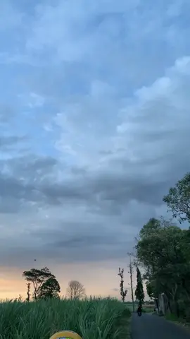 🤍#glgank 