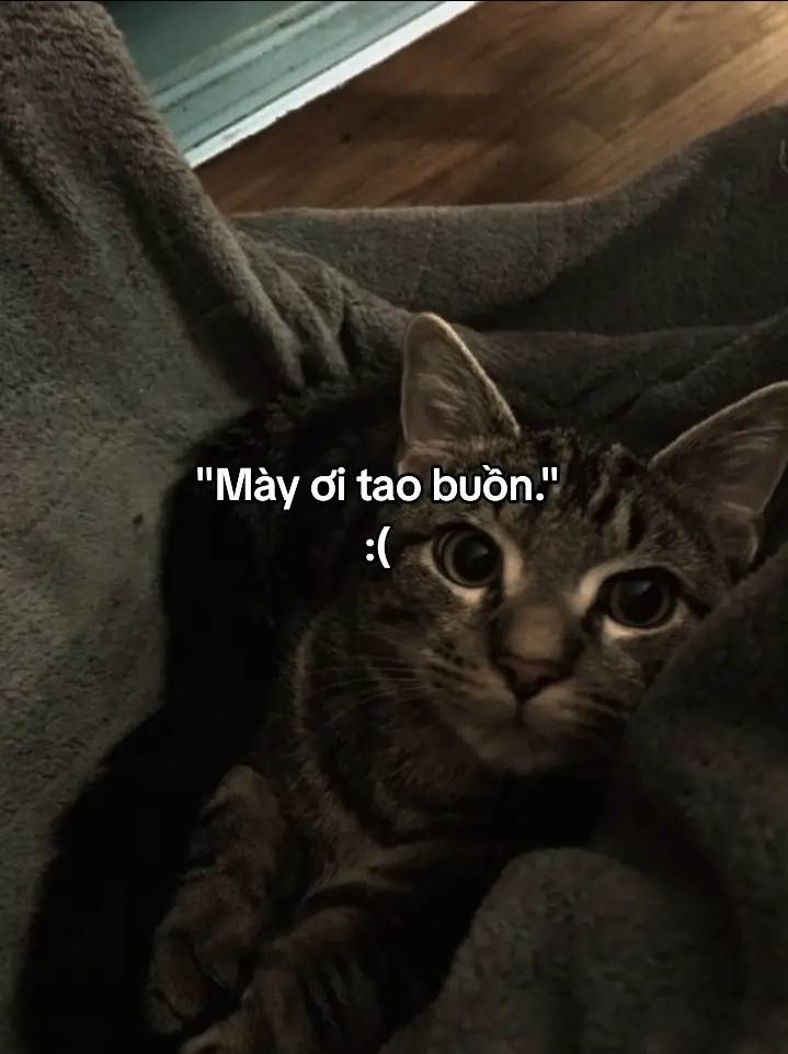 m ơi t buồn:( |#03th2_pn #tamtrang #ddnxuhuong 