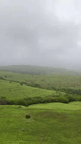 #اكسبلور #صلالة_محافظة_ظفار #صلالة #fyp    DJI Neo 