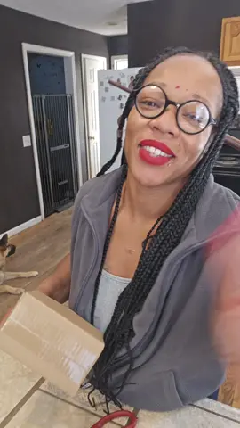 @NooraTail #dogs #pups #puppies #germanshepherd 