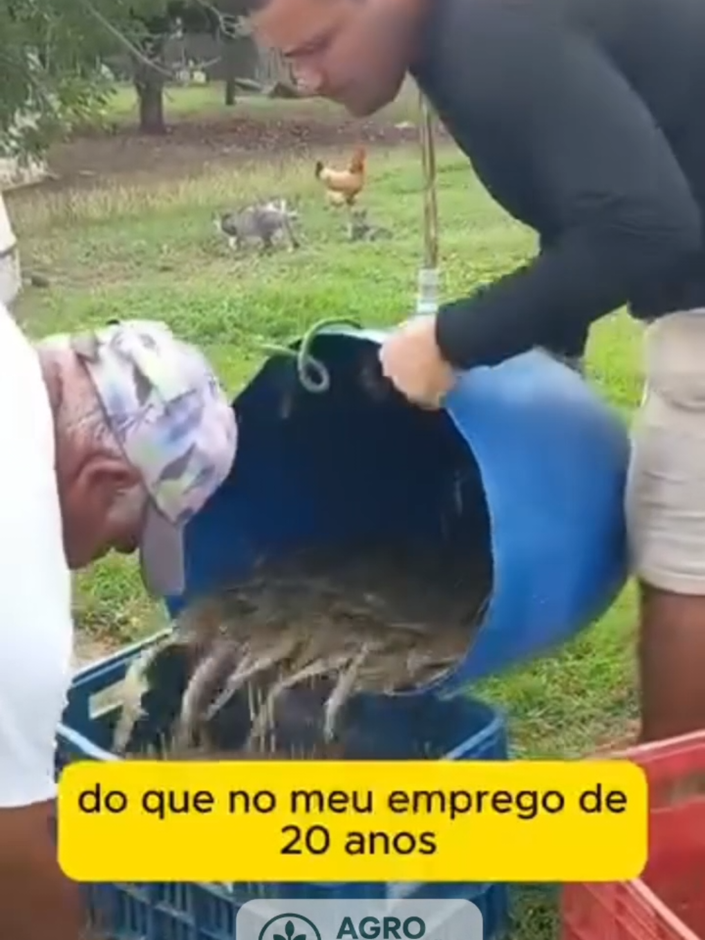 🔥 Quer transformar uma simples caixa d’água em uma fonte de renda extra? 🔥 No Projeto Camarão Lucrativo, você aprende, passo a passo, como criar camarões em casa, com baixo investimento e retorno rápido! ✅ Vídeo Aulas completas de montagem e manejo ✅ Técnicas testadas para maximizar a produção ✅ Suporte direto para tirar todas as suas dúvidas ✅ Lucro médio de R$2.000 a R$5.000 no primeiro mês 