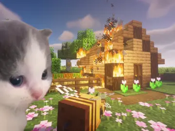 #майнкрафт #Minecraft #котики #мемы #котята Хотите ваш ник над котиком, смотрите описание профиля!