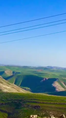 #صلوا_على_رسول_الله #بدوانك_سعدهم_قايم🔥 #فلسطين❤️ #معرجات_اريحا 💔