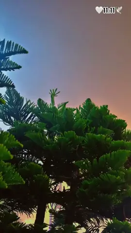 #ضيعتني_في_زحمه_ايامي  #ابو_بكر_سالم_بالفقيه 