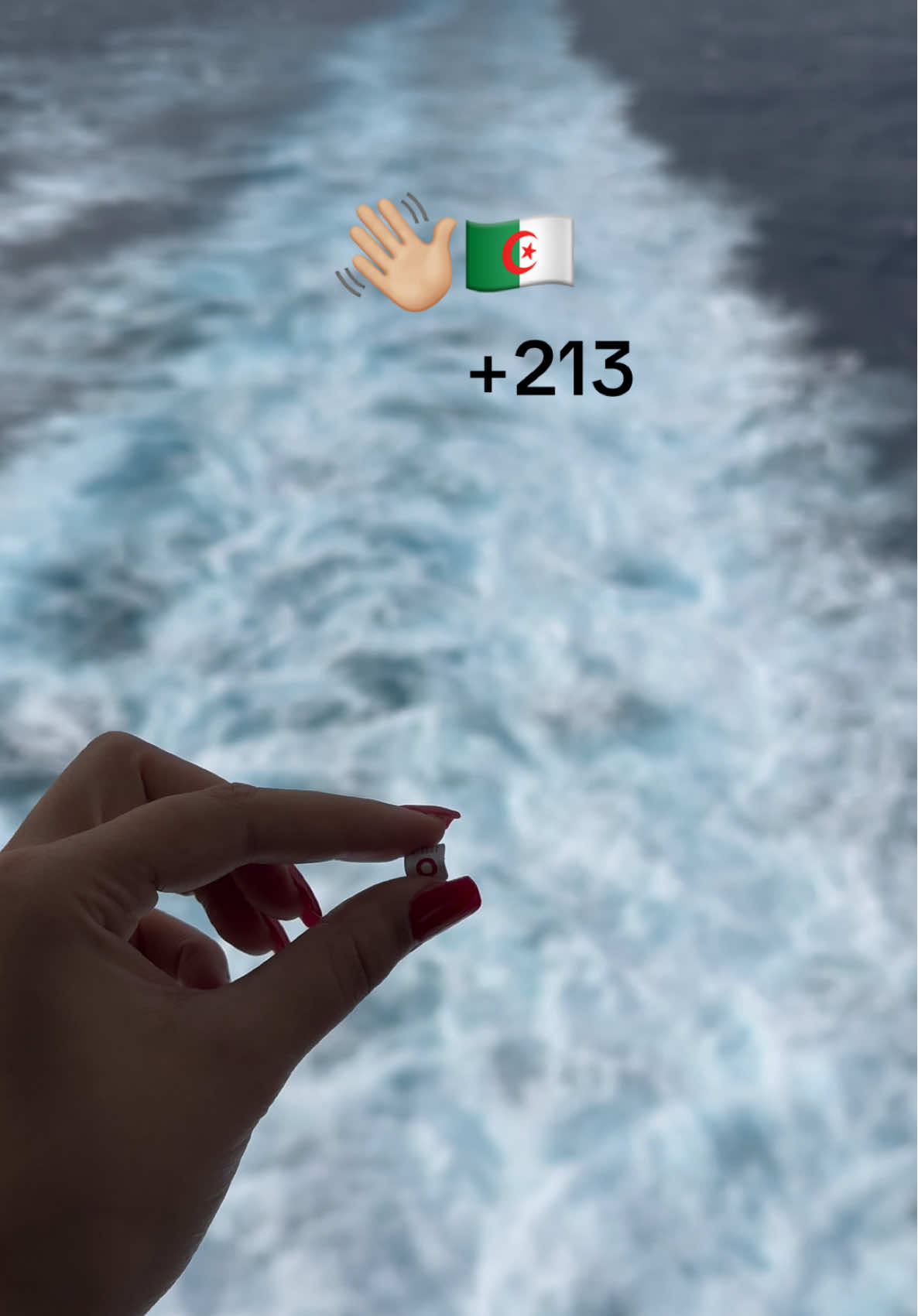 Leaving home to go home…💔 #algeria #dzair #northafrican #213🇩🇿 #vacaition #bladi #homesick #leavinghome #foryou #traveltiktok 