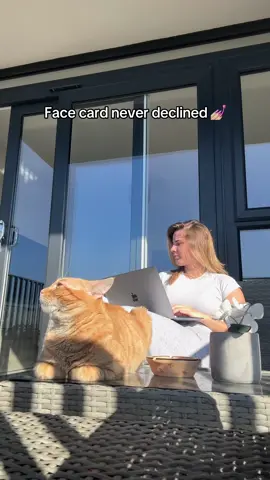 Face card #cats #cat #facecard 