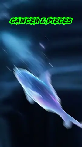 Cancer and Pisces #astrology #zodiacsigns #fyp #cancer #Pices 