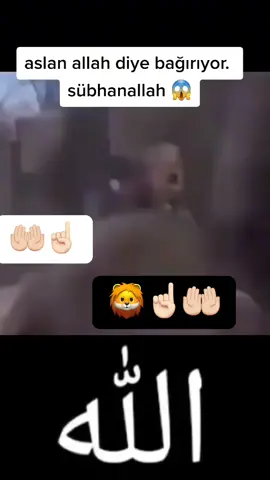 #####🕋🕋🕋🕋🕋🕋🕋🕋🕋🕋🕋🕋🕋🕋🕋🕋🕋🕋🕋🕋🕋🕋🕋🕋🕋🕋🕋🕋🕋🕋🕋🕋🕋🕋🕋🕋🕋🕋🕋🕋🕋🕋🕋🕋🕋🕋🕋🕋🕋🕋🕋🕋 ###🕋🕋🕋🕋🕋🕋🕋🕋🕋🕋🕋🕋🕋🕋🕋🕋🕋🕋🕋🕋🕋🕋🕋🕋🕋🕋🕋🕋🕋🕋🕋🕋🕋🕋🕋🕋🕋🕋🕋🕋🕋🕋🕋🕋🕋🕋🕋🕋🕋🕋🕋🕋 ##🕋🕋🕋🕋🕋🕋🕋🕋🕋🕋🕋🕋🕋🕋🕋🕋🕋🕋🕋🕋🕋🕋🕋🕋🕋🕋🕋🕋🕋🕋🕋🕋🕋🕋🕋🕋🕋🕋🕋🕋🕋🕋🕋🕋🕋🕋🕋🕋🕋🕋🕋🕋 #Allah #####Allah 