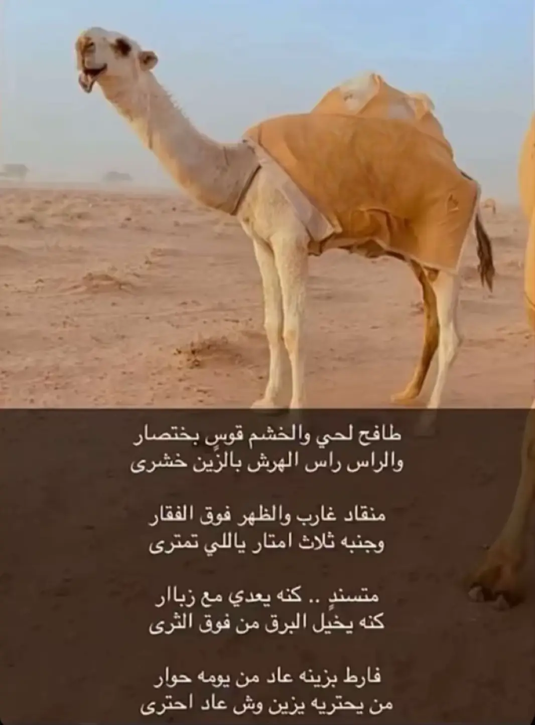 #بعيد_الهقاوي_البقمي 