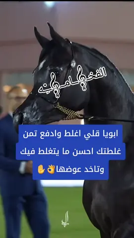 ابويا قلي اغلط وادفع تمن غلطتك احسن ما يتغلط فيك وتاخد عوضها👌✋🦅فۣۗہخۣۗہــــ⚔️ـــــــآمۣۗہة👈 #👌👌👌👌👌👌 #