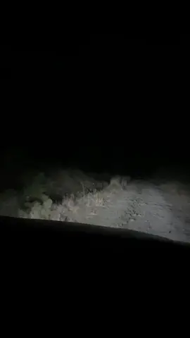 #fuerzaregida 