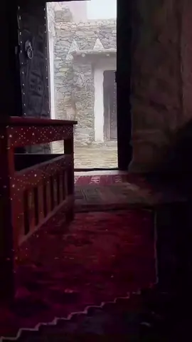 #اكسبلور #🤍 