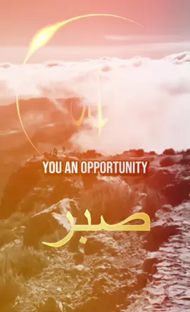 #الله #foryoupage #islamtiktok #fyp #muftimenk 