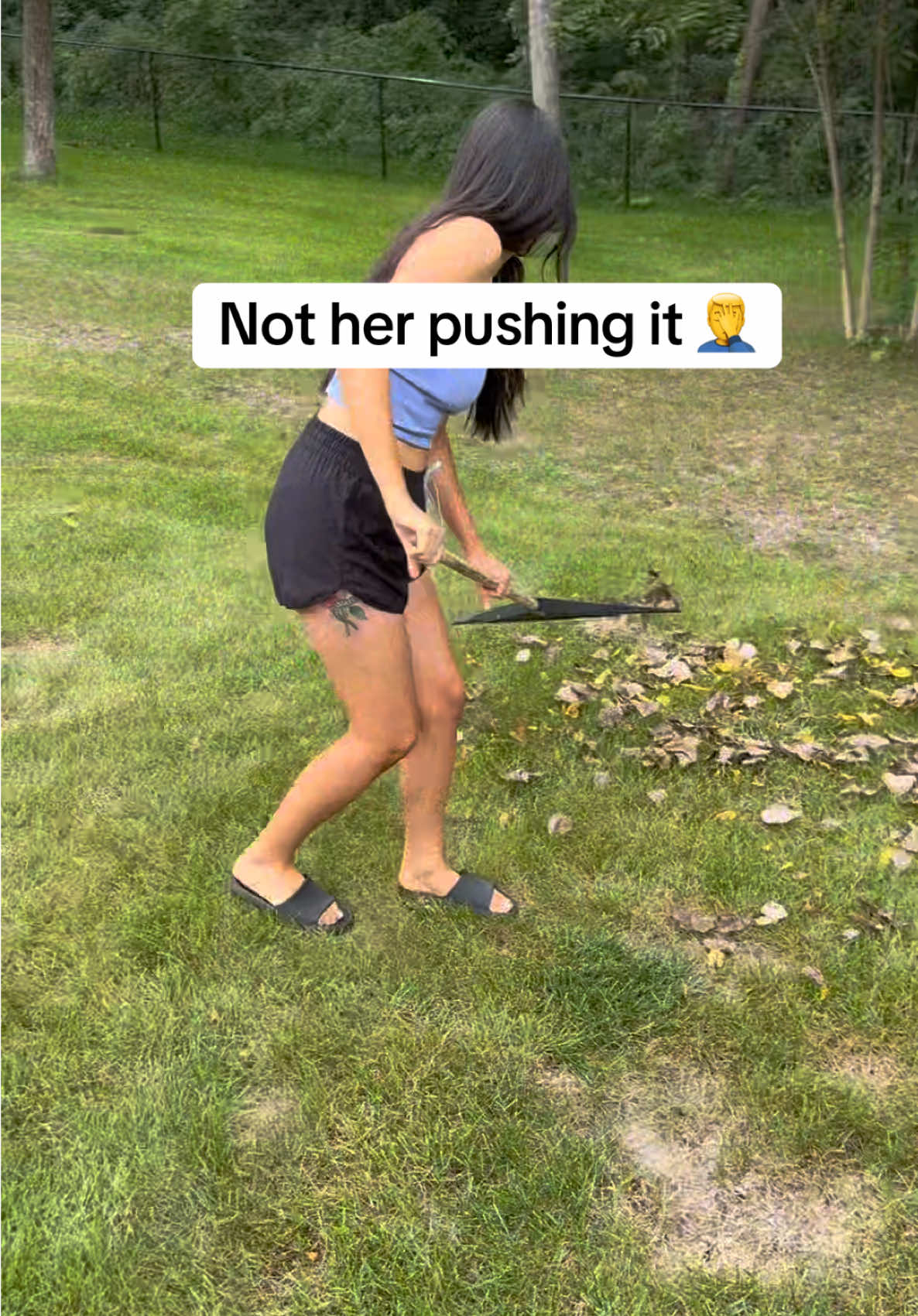 Came home to find her raking the leaves like its the 1900s #lawnsweeper #vevor #lawncare #yardwork #lawn 