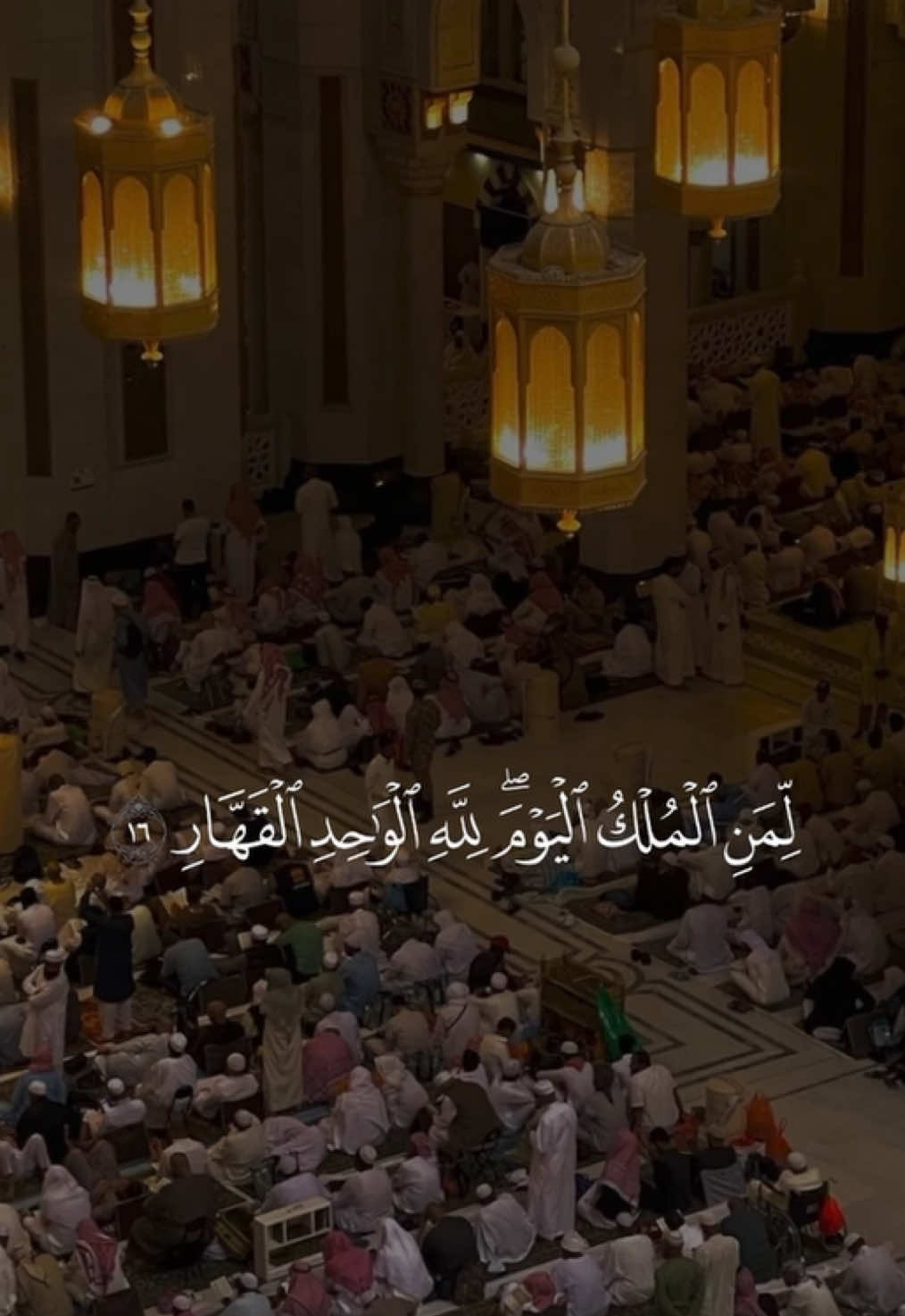 #تلاوات #عبدالله_الموسى #سورة_غافر 