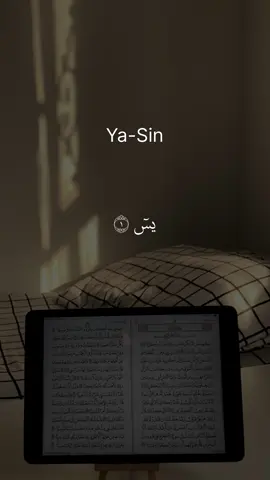 surah ya sin #quran #dailyquran #quran_alkarim #quranrecitation #islamic 