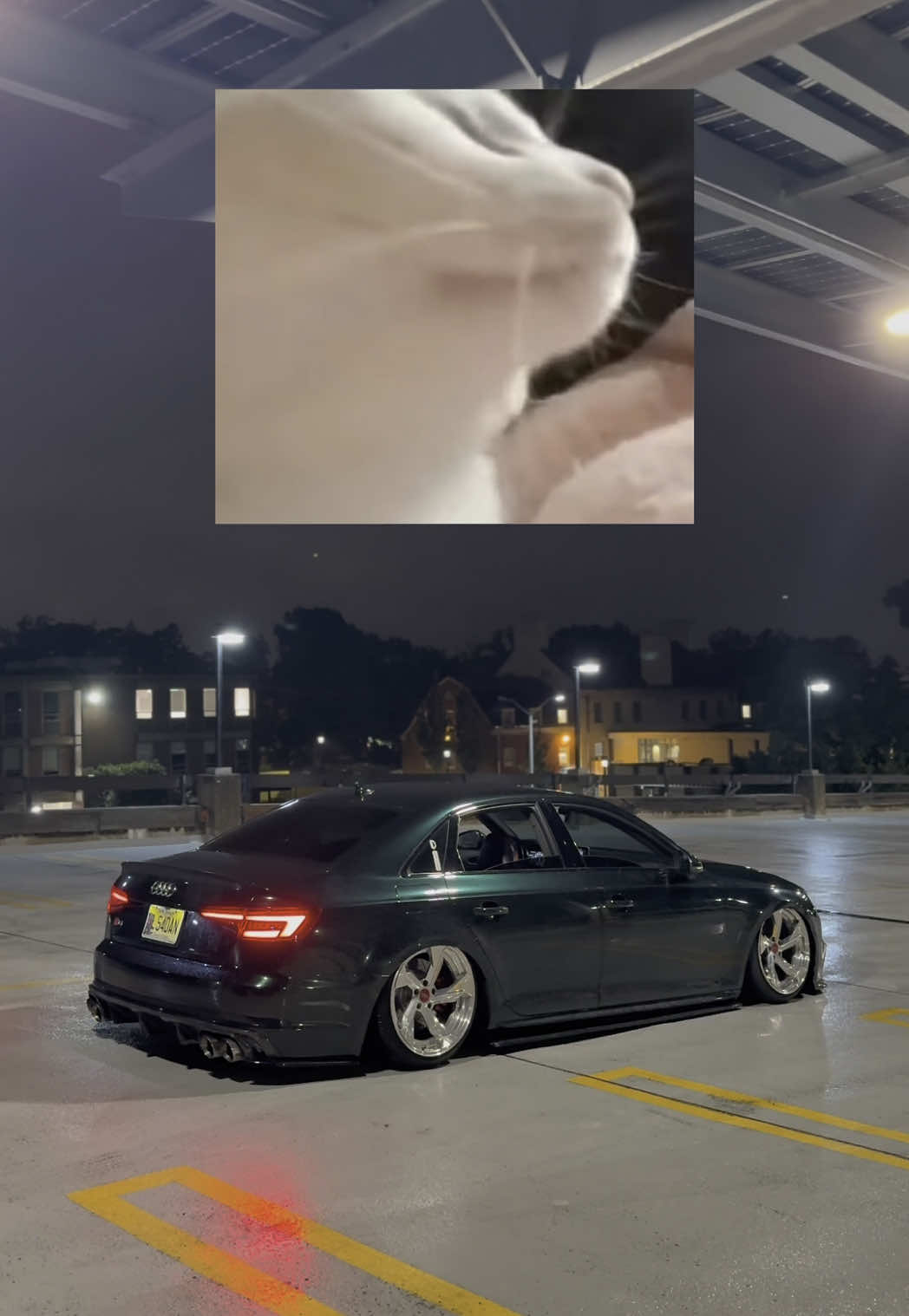 Based on a true story  #audi #bagged #b9 #s4 #quattro #turbo #airsuspension #ppf #polished #voidcarbon 