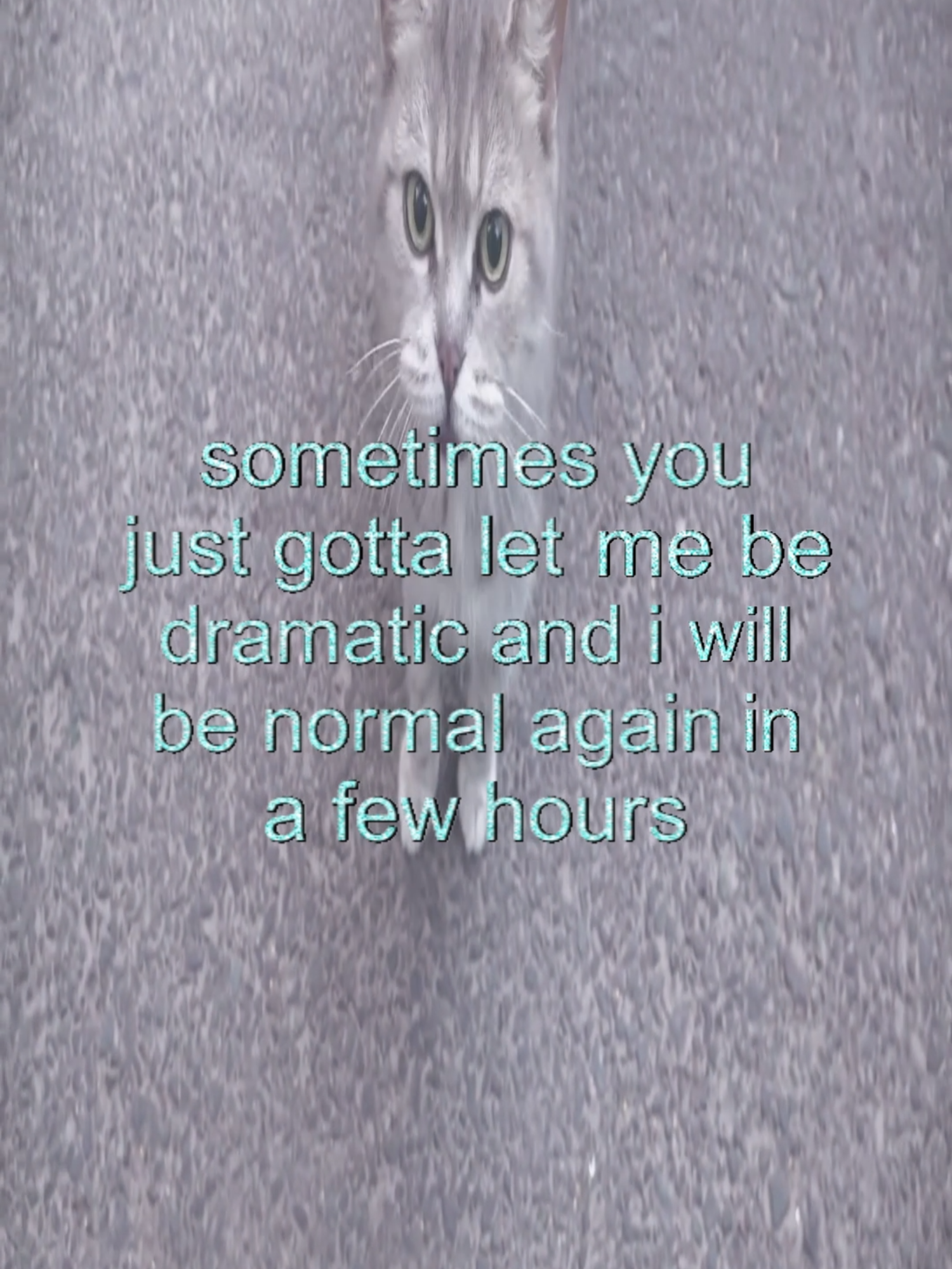 #real #thoughts #fyp #cats #catcore #swag #relateable