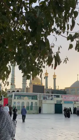 #ايران #typ #trending#tiktok 