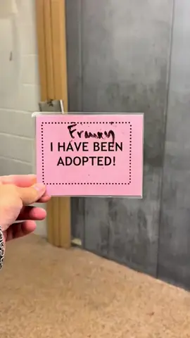 . “Adopting More Than a Dog—Welcoming Pure Love”#petlover #viralpet #cutemoments #fluffy #doglove 
