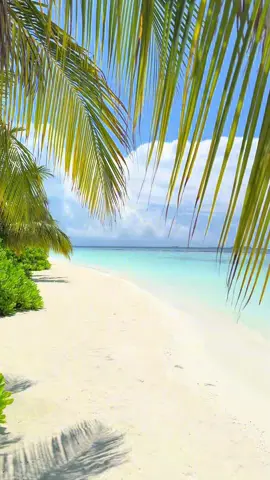 Maldives paradise vibes crystal clear water tropical island escape dream summer vacation. #Maldives #Paradise #TropicalIsland #SummerVibes #travel 