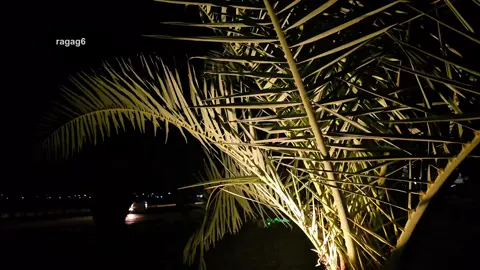 #غيث_صباح #تصويري 