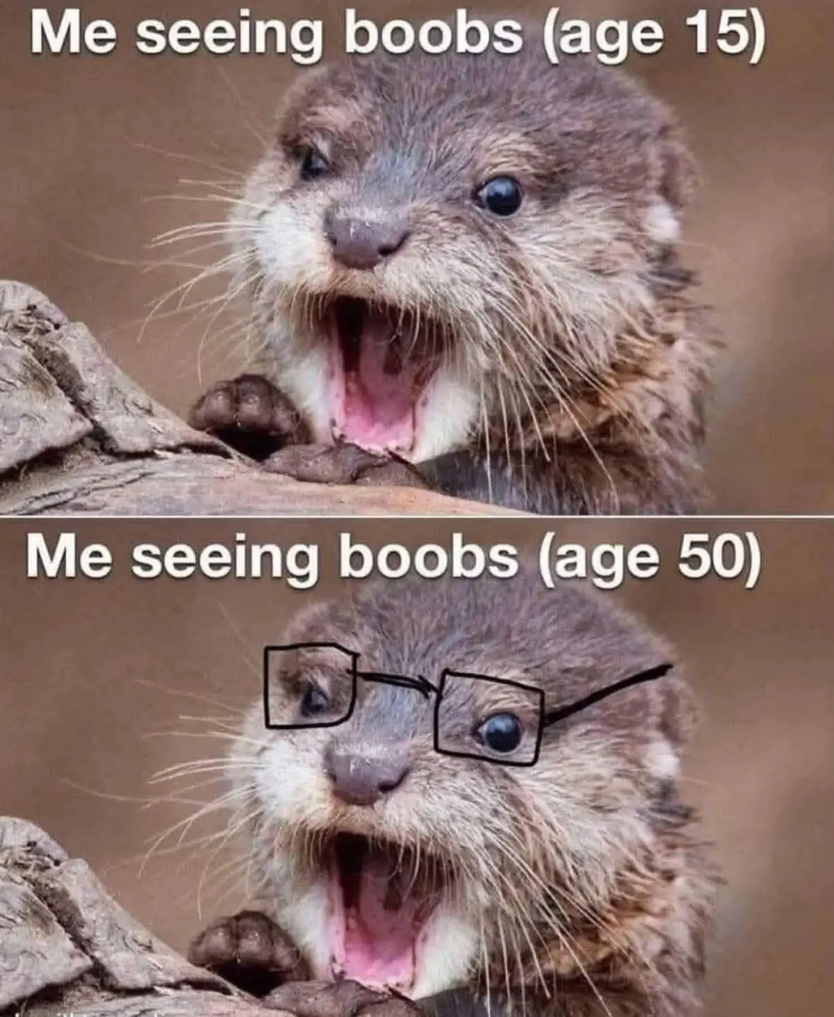 #fyp #foryoupage #genx #friends #🤣🤣🤣 