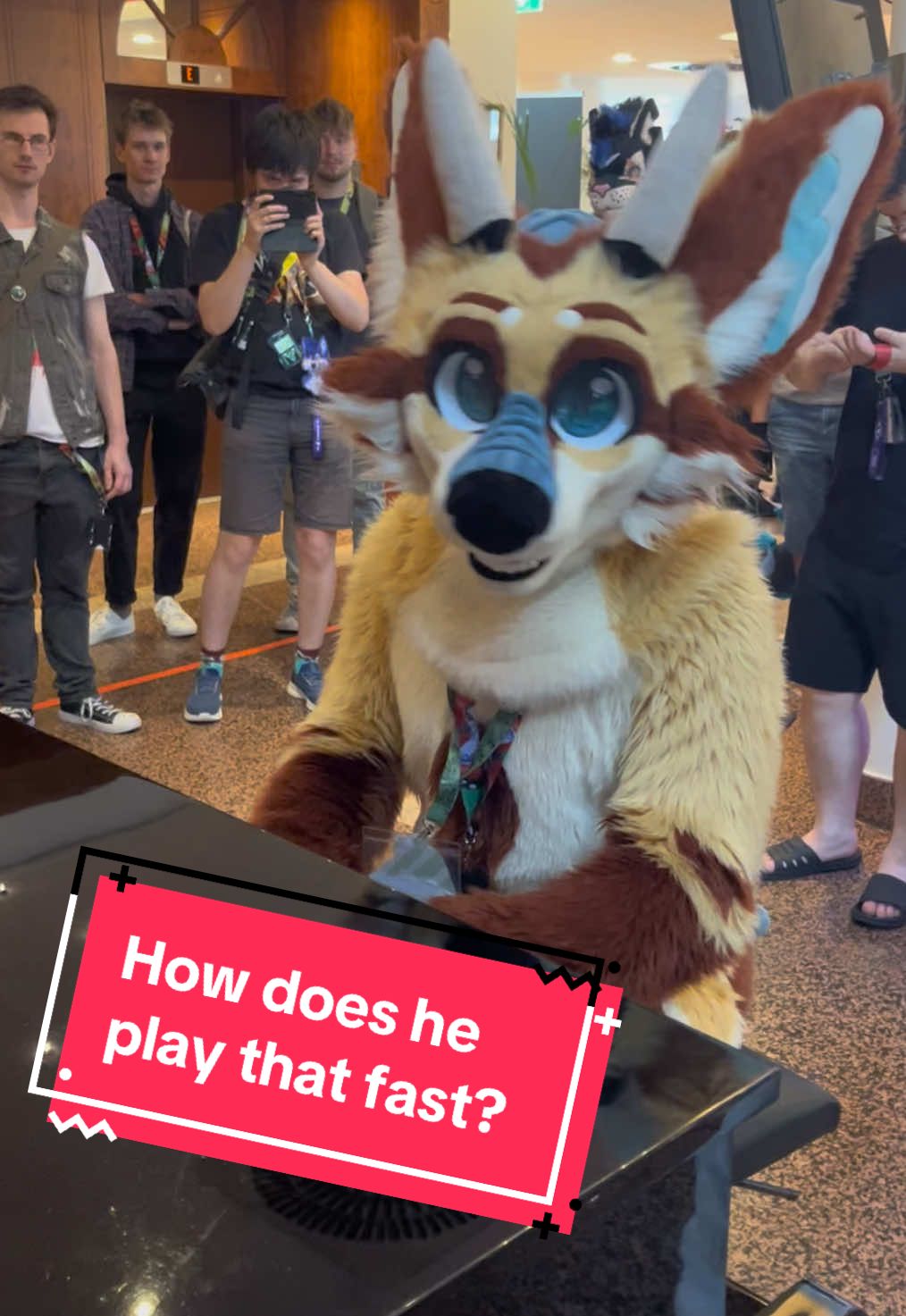 How does he play that fast piano? 🦊🐉🎹  #furry #furries #furryfandom #furrycommunity #furriesoftiktok #piano #chopin #fur #fox #fursuit #fursuiter #fursuiting 
