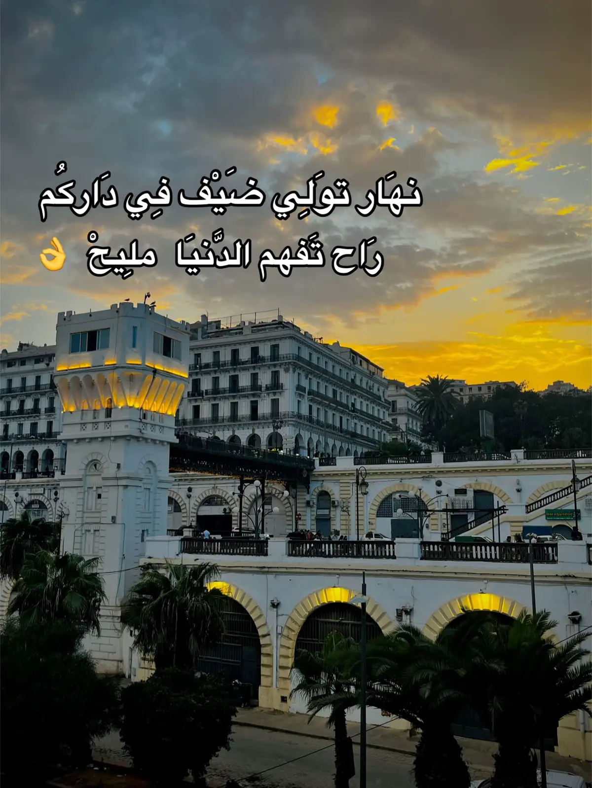 #fyp #fyppppppppppppppppppppppp #الدنيا #photography #foryou 