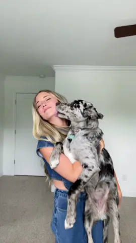 Almost threw out my back 😅 #funny #relatable #fyp #cute #dog 