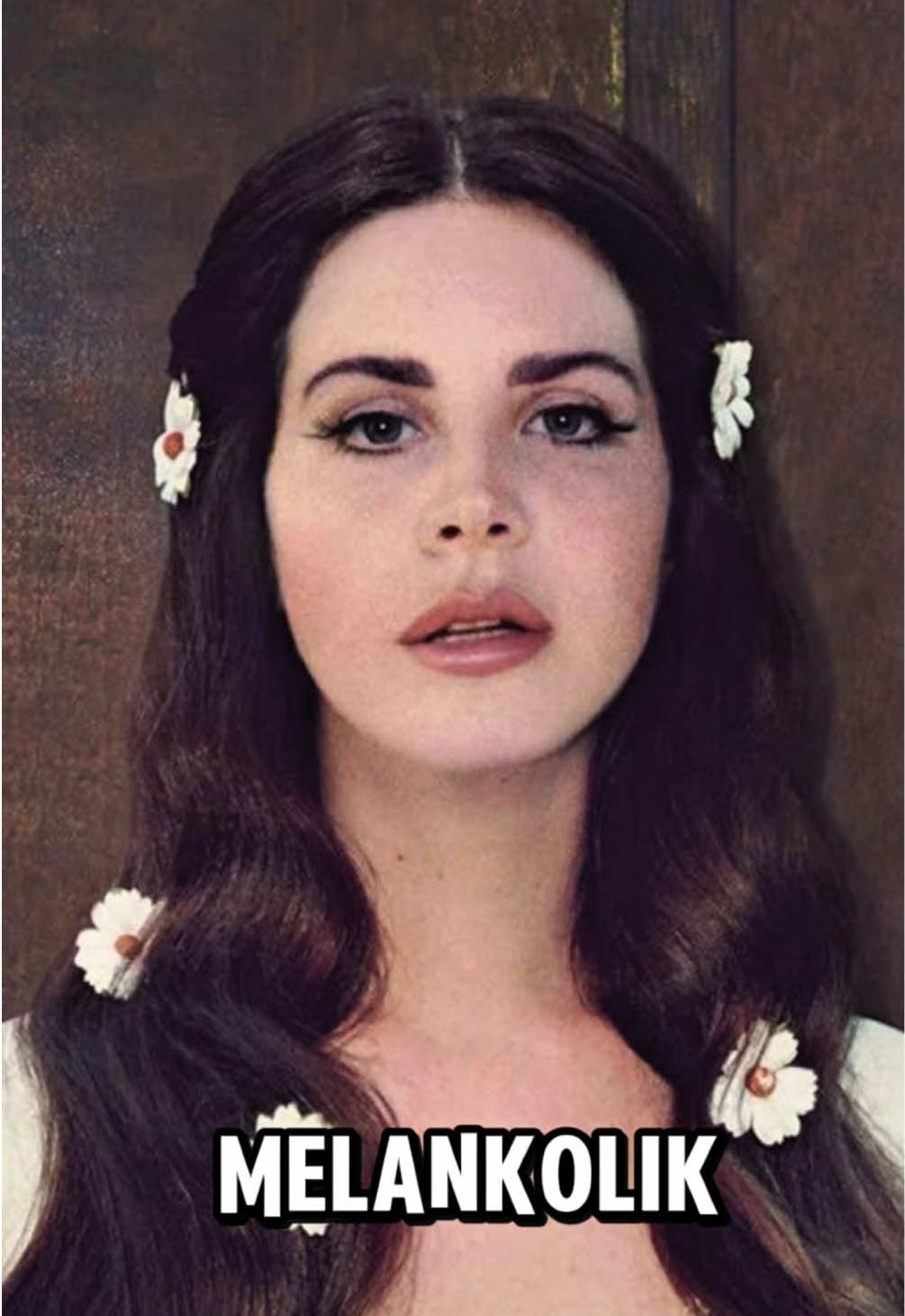 Lana Del Rey 🌼 #lanadelrey #videogames #melancolia #america #fy 