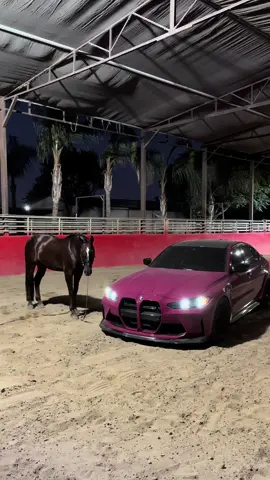 real horsepower 🐎 #horse #bmw 