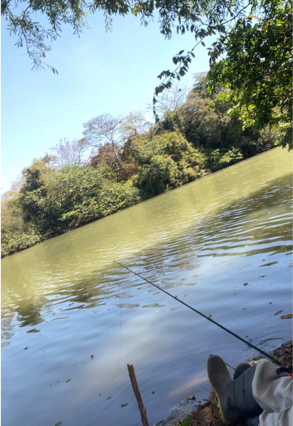 #pescariaraiz #viral 