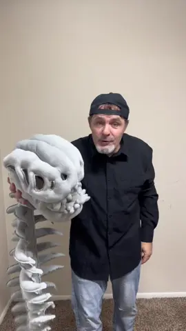 No high maintenance costume this year. #costume #halloween #halloween2025 #dinosaurskeletoncostume 