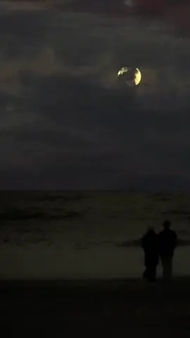 وتم مەڕۆ با لەوە زیاتر دڵتەنگ نەبم ، وتی جا چییە خۆ نامری.. #هایدە  #haydeh 