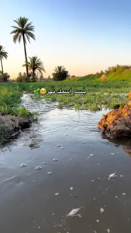 لقطاتي 🌷. #اكسبلور #الشعب_الصيني_ماله_حل😂😂 
