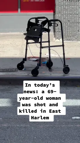 Details from the scene on Madison Ave & 110th Street in East Harlem where a 69-year-old woman was killed. #nyc #reporter #news #crime #fyp #viral #nypd #breakingnews 