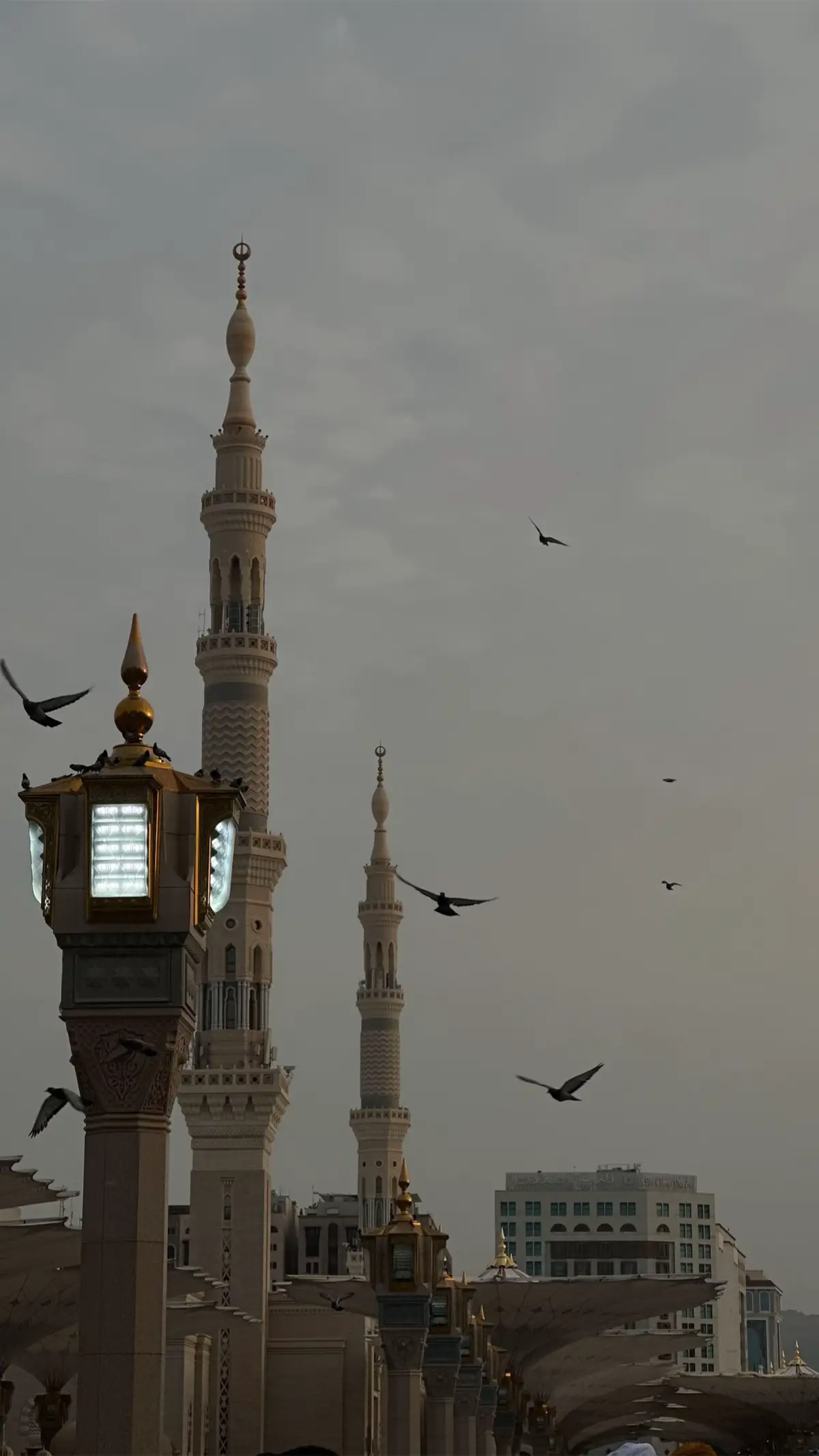 اللهُّم اغفرلنا 🕊️🩶#اكسبلور #اذكروا_الله #يوم_الجمعة #المدينة_المنوره #استغفرالله 