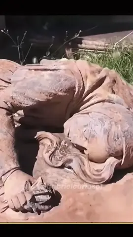 tumbas de famosos que las personas no pueden visitar. #hollywood 