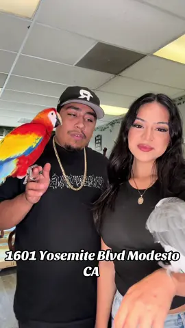 Follow my wife @_andreapelayoo for more store content besides Birds ! 🙌 #209 #modesto #JPQ #exoticbirds #fyp 