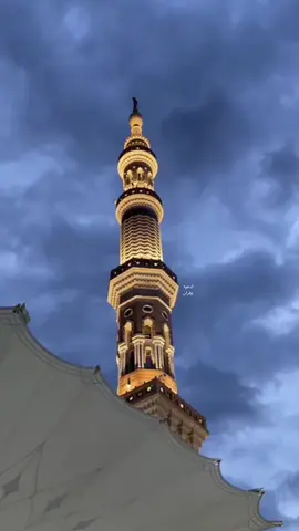 حديث عن اسباب الرزق 🤍🌴 #عبدالمحسن_القاسم #المسجد_النبوي #المدينة_المنورة_الآن #السعودية #اكسبلورexplore #الحرم_المدني #احاديث_الرسول #ادعيه_اذكار_تسبيح_دعاء_استغفار 