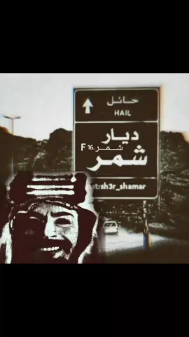 #طنايا___الأسلم_عبده_سنجاره #شمر #سنجار #CapCut #سناعيس_شمر العجرش الجربا شيوخ شمر الاسلم الجحيش عبده زوبع حايل نجد طلال الرشيد شمر الغلباء طنايا شمر هل الردات 