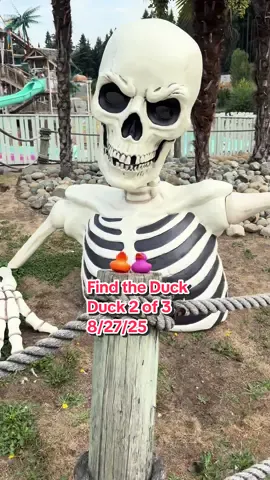 #findtheduck  2 of 3 8/27 @wildwavespark_official ONLY 1 DUCK PER PERSON PER DAY! #wildwaves #lovegrama #gramacarolyn 