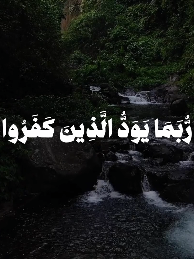 المنشاوي-ربما يود الذين كفروا لو كانوا مسلمين #قرآن_كريم #قرآن #المنشاوي #islamic_video #qran 