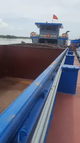 em về  với  chủ  mới 